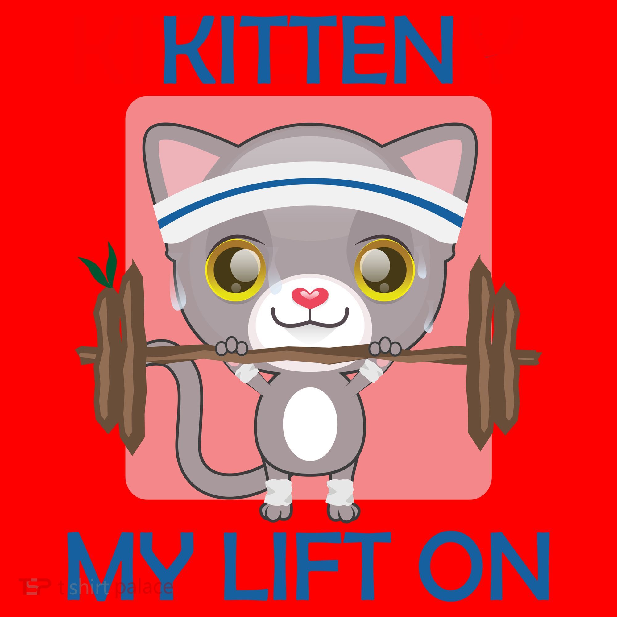 Kitten My lift On Santa Hat