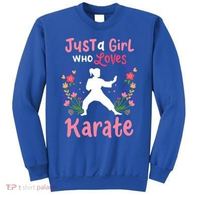 Karate Just A Who Loves Karate Gift Sweatshirt