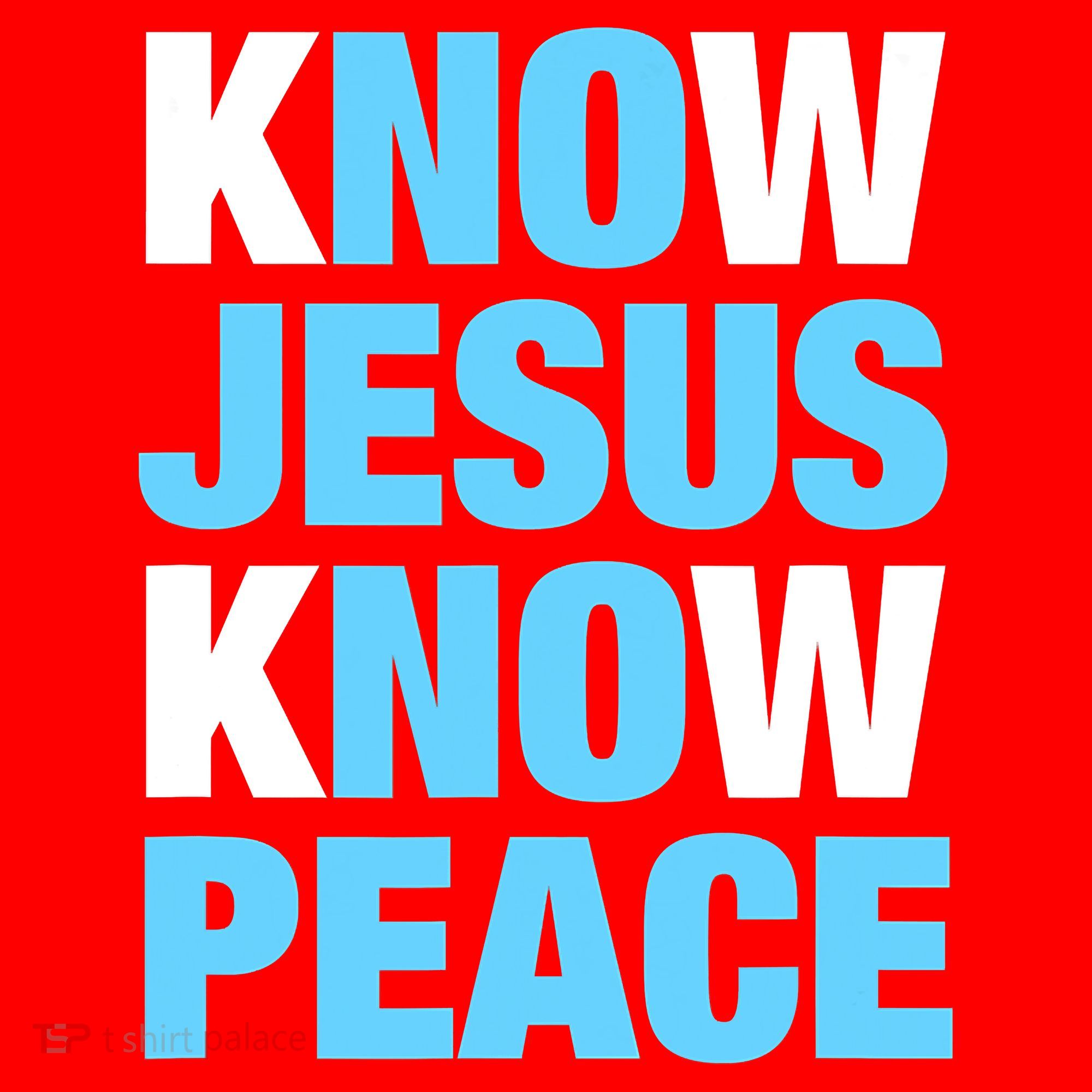 Know Jesus Know Peace No Jesus No Peace Faith God Santa Hat
