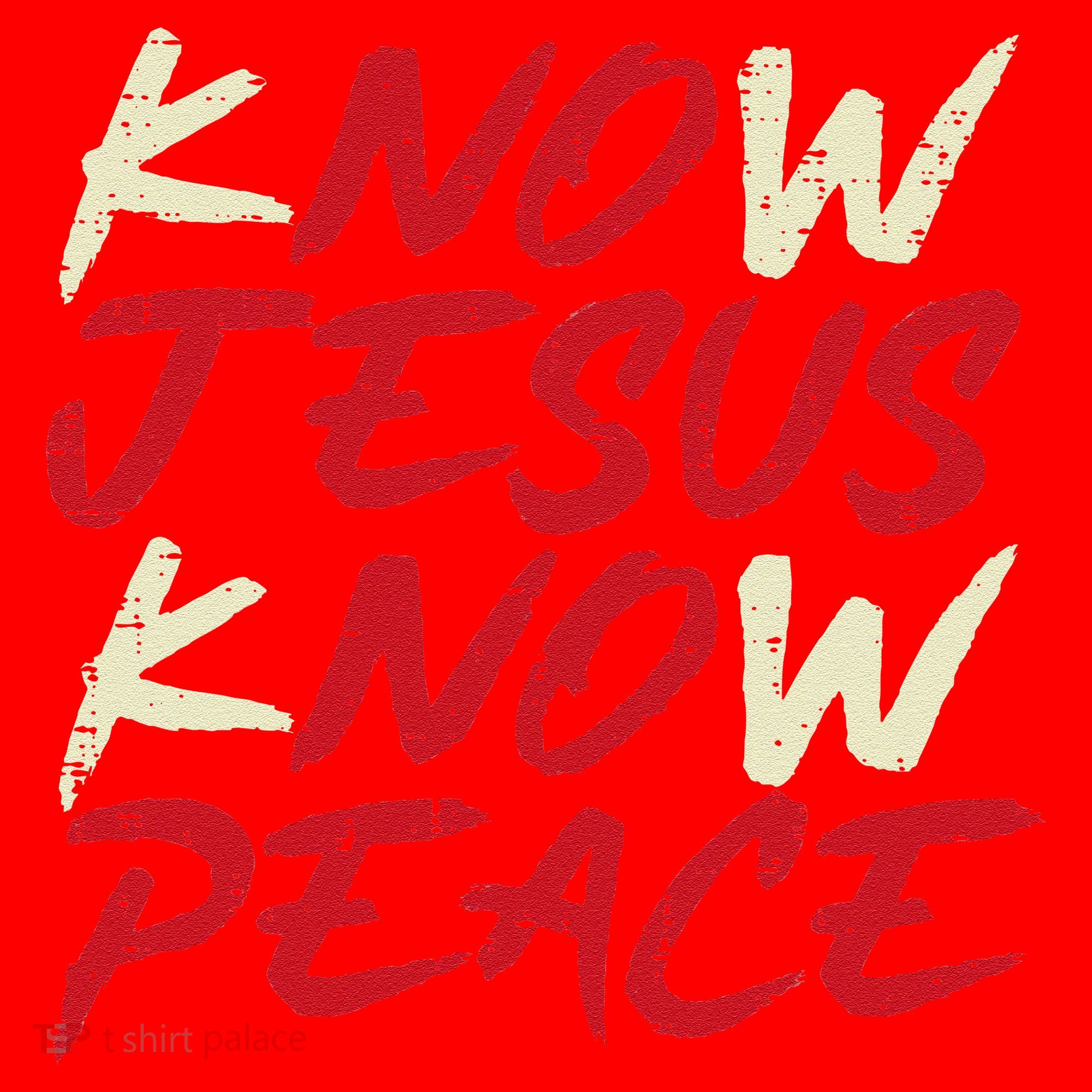 Know Jesus Know Peace God Faith Christian Santa Hat