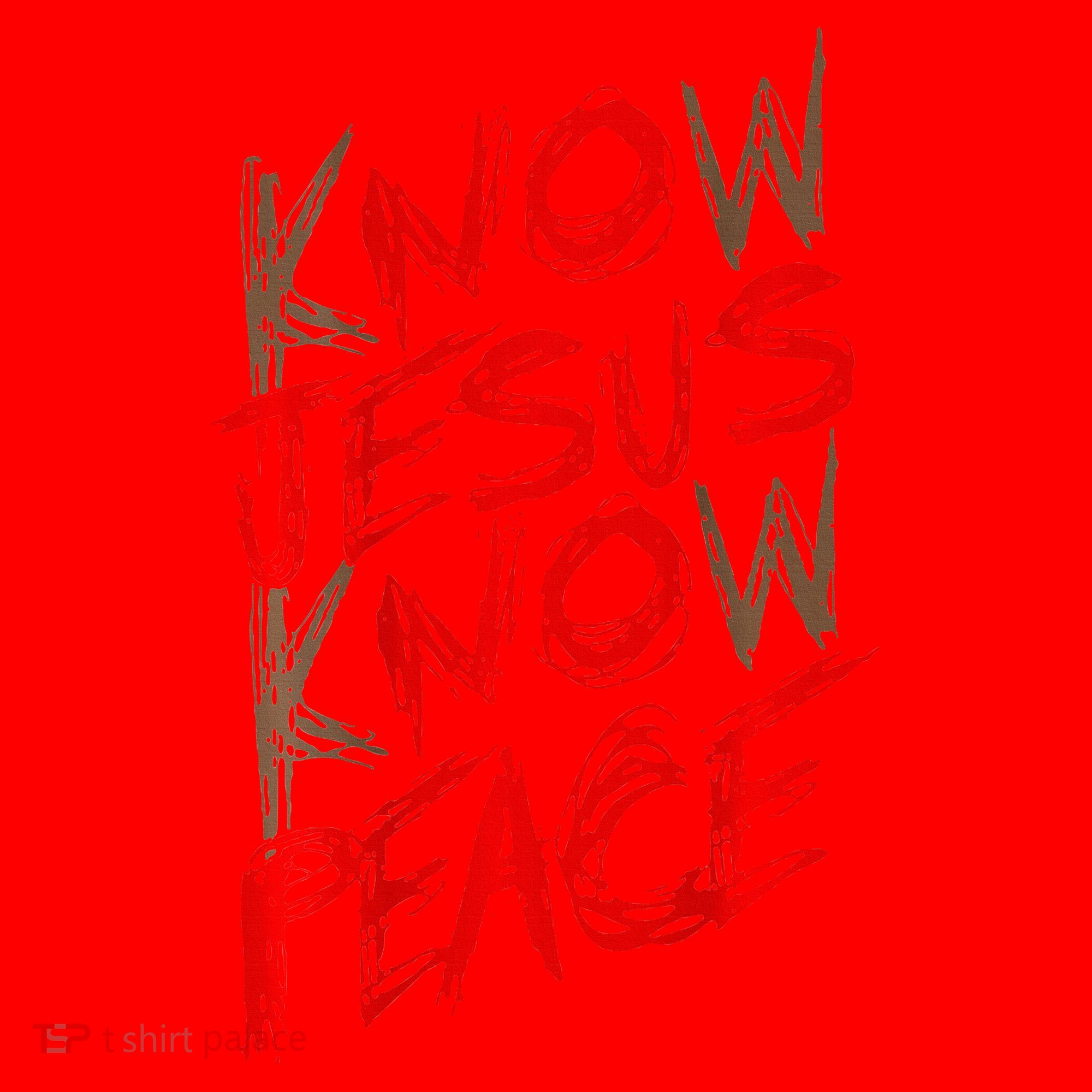 Know Jesus Know Peace Santa Hat