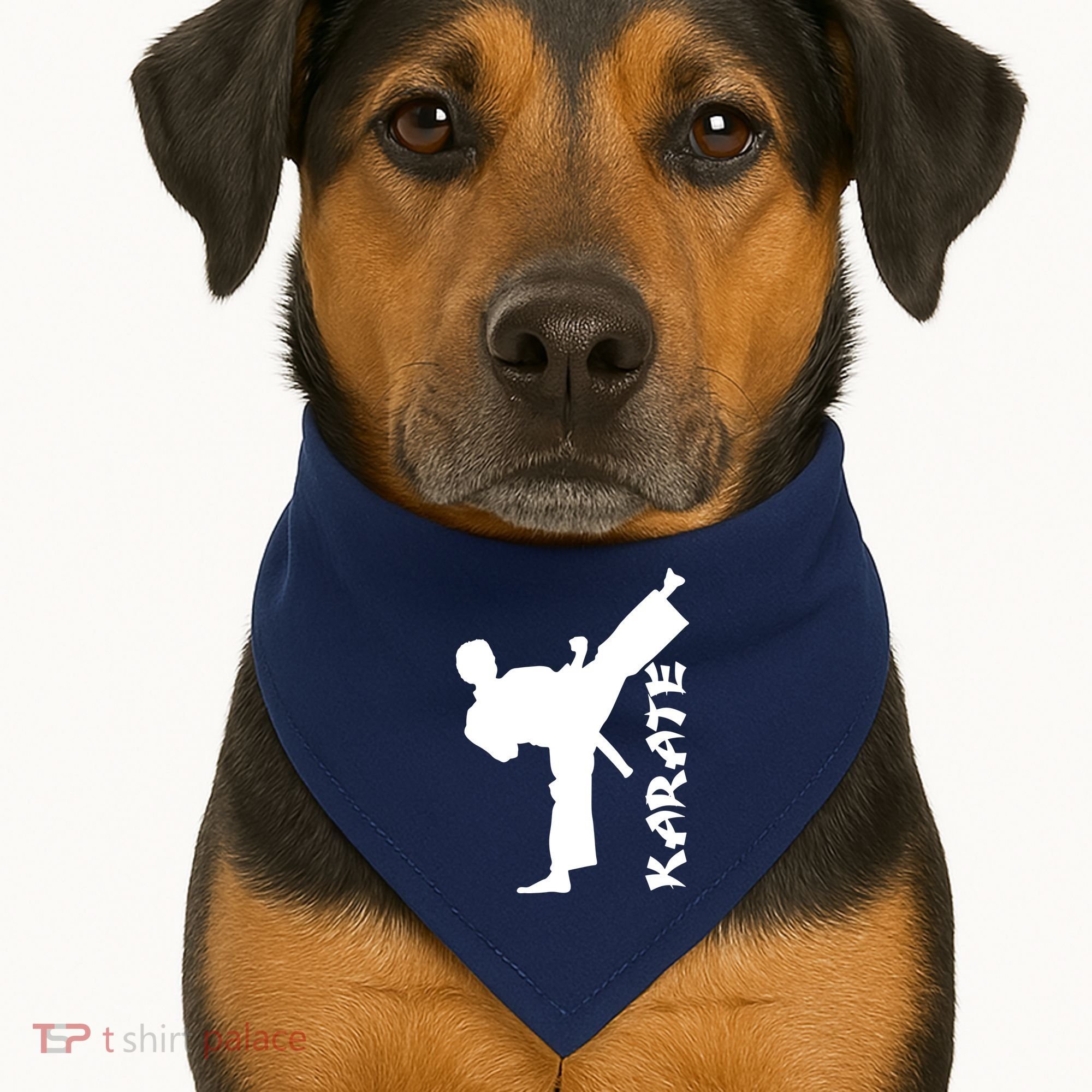 Karate USA-Made Doggie Bandana