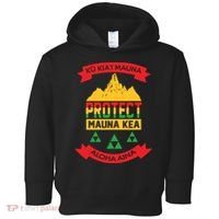 Ku Kia'i Mauna Protect Mauna Kea Aloha Aina Toddler Hoodie thumb 0