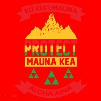 Ku Kia'i Mauna Protect Mauna Kea Aloha Aina Santa Hat thumb 1