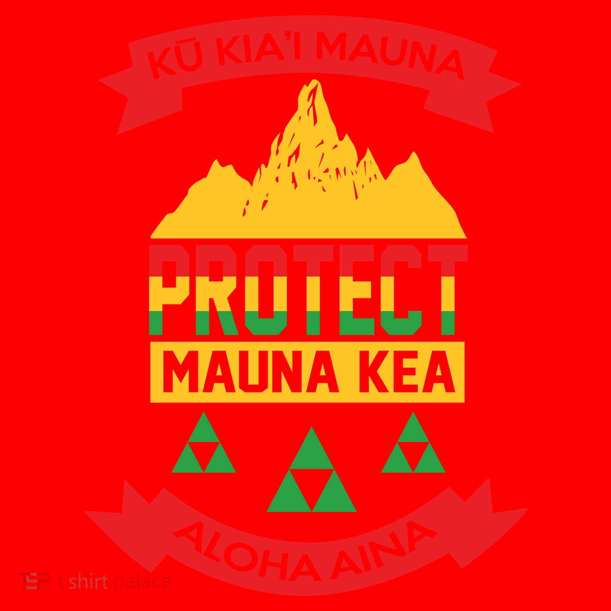 Ku Kia'i Mauna Protect Mauna Kea Aloha Aina Santa Hat