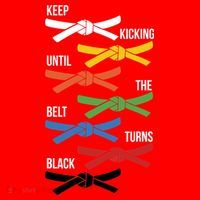 Keep Kicking Until The Beld Turns Black Taekwondo Santa Hat thumb 1