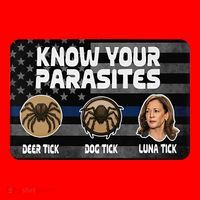 Kamala Know Your Parasites Deer Tick Dog Tick Luna Tick Santa Hat thumb 1