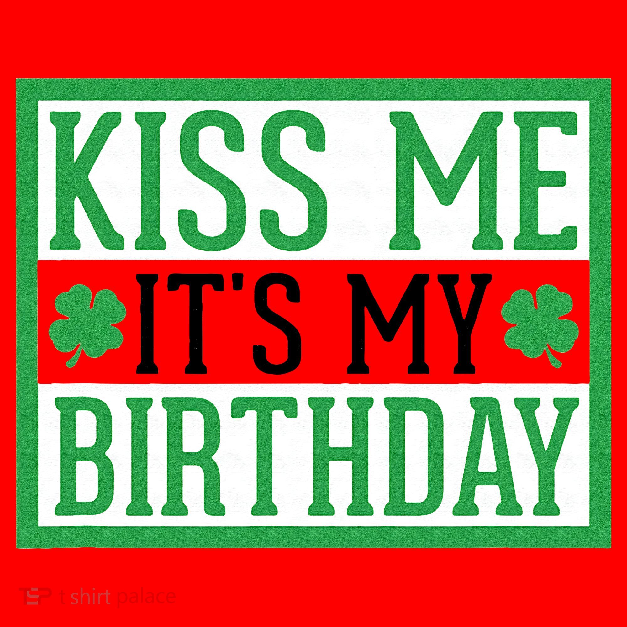 Kiss Me It's My Birthday Cute St. Patrick's Day Irish Funny Santa Hat