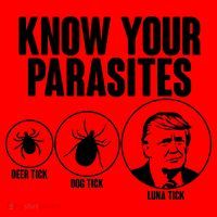 Know Your Parasites Deer Trick Dog Trick Luna Trick Santa Hat thumb 1