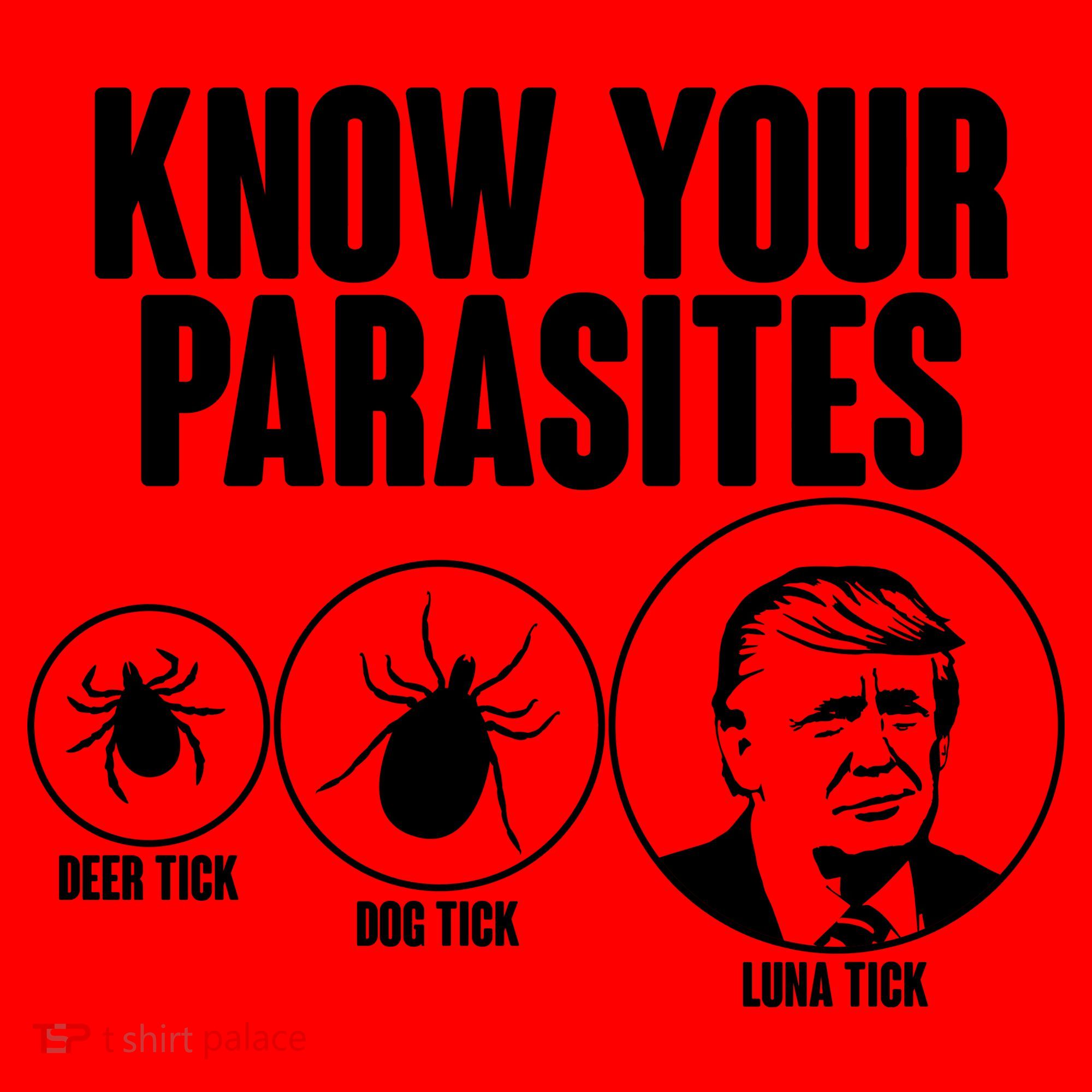 Know Your Parasites Deer Trick Dog Trick Luna Trick Santa Hat