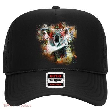 Koala Colorful Hat