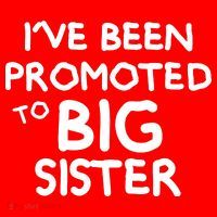 Promoted To Big Sister Santa Hat thumb 1