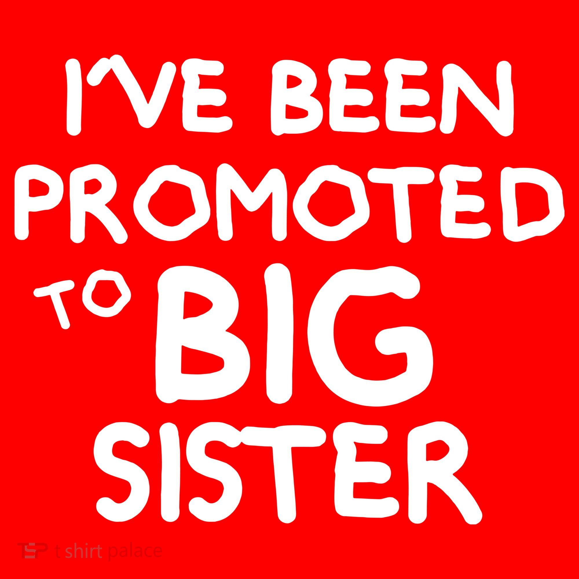 Promoted To Big Sister Santa Hat