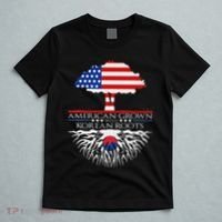 Korean Roots American Grown Tree Flag Us Korea Asian T-Shirt thumb 5