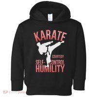 Karate Silhouette Courtesy & Discipline Toddler Hoodie thumb 0