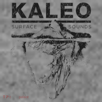 Kaleo Surface Crest Toddler Hoodie thumb 2