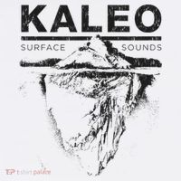 Kaleo Surface Crest T-Shirt thumb 7