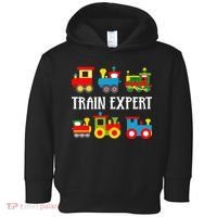 Kids Trains Funny Train Expert Kids Toddler Hoodie thumb 0