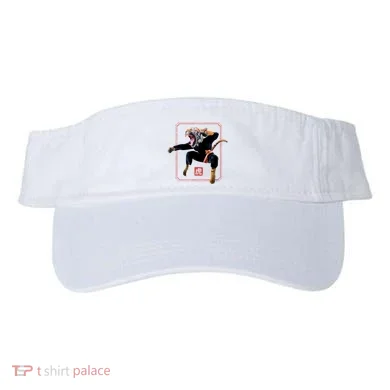 Visor