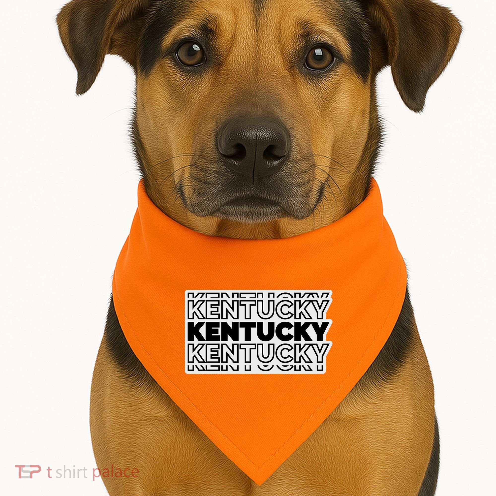 Kentucky Typography Mashup USA-Made Doggie Bandana
