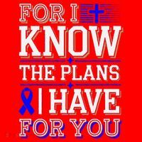 Know The Plans For You Juvenile Arthritis Awareness Santa Hat thumb 1