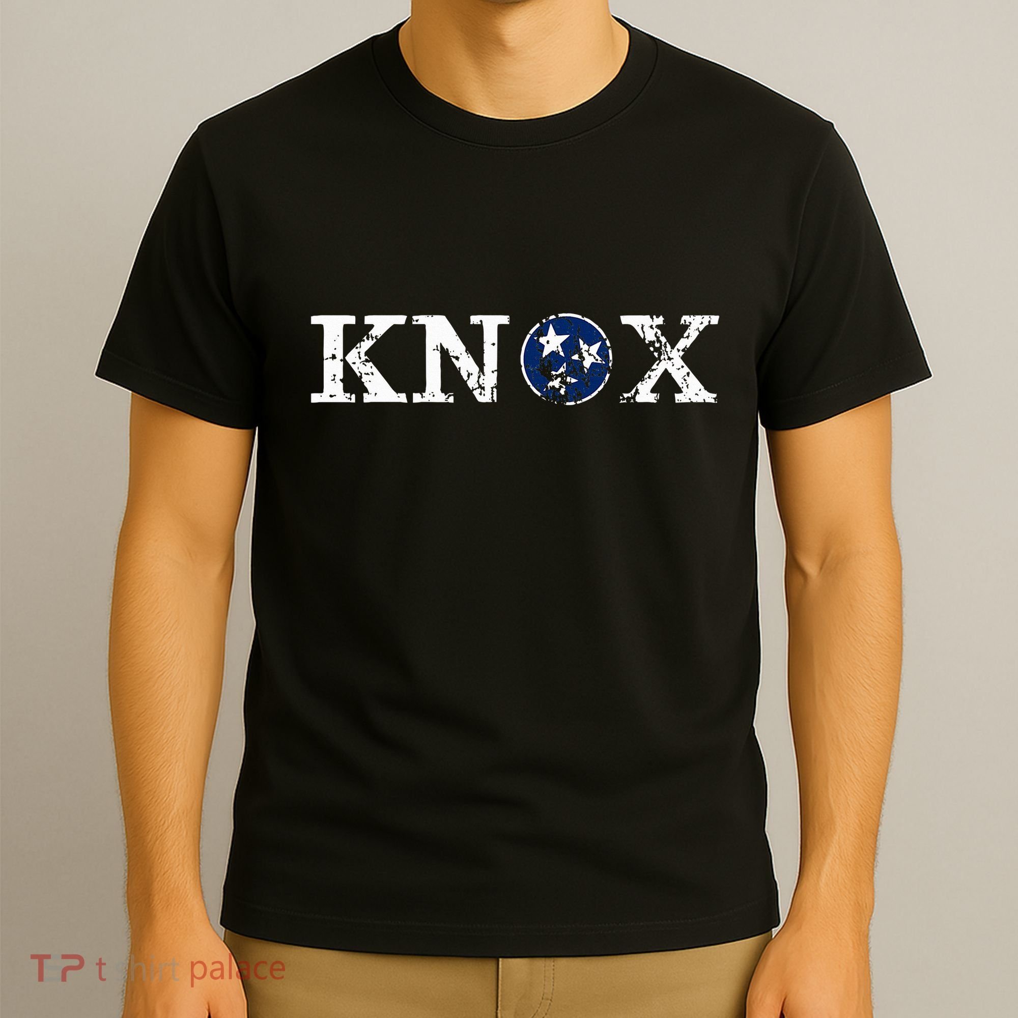 Knoxville Tennessee State Flag Art Gifts Distressed Knox T-Shirt
