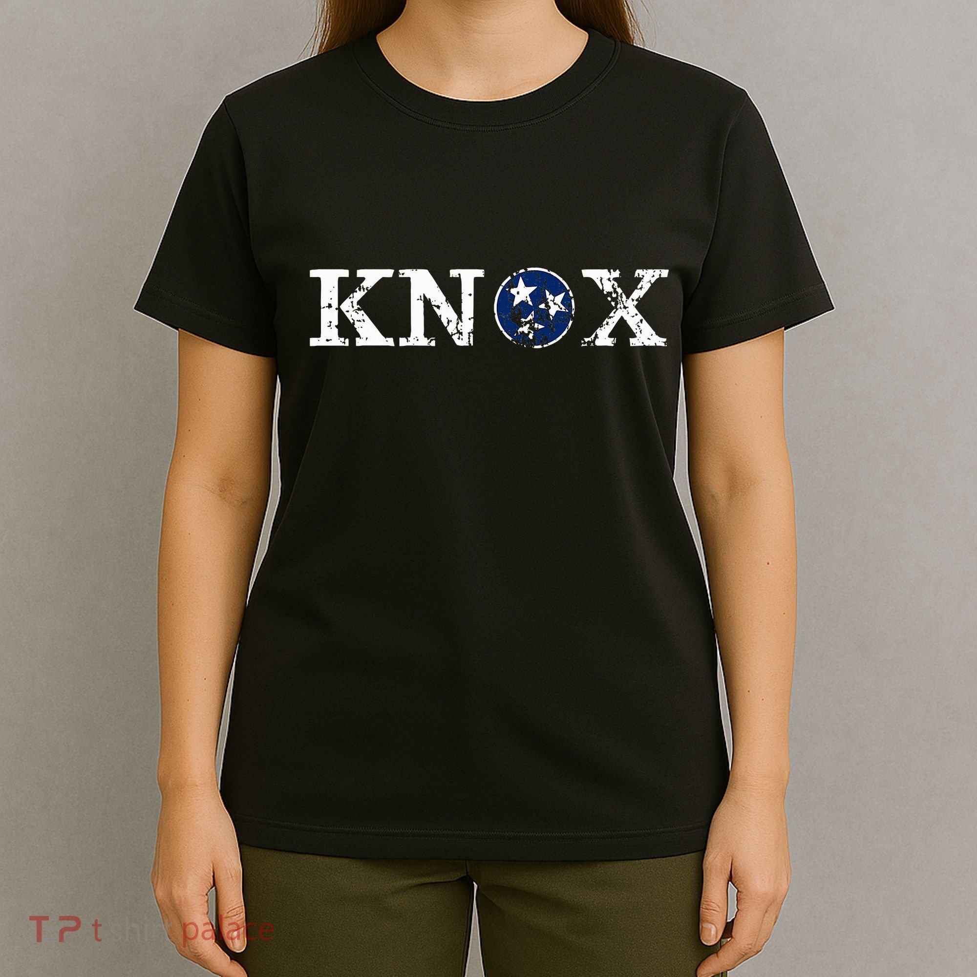 Knoxville Tennessee State Flag Art Gifts Distressed Knox T-Shirt