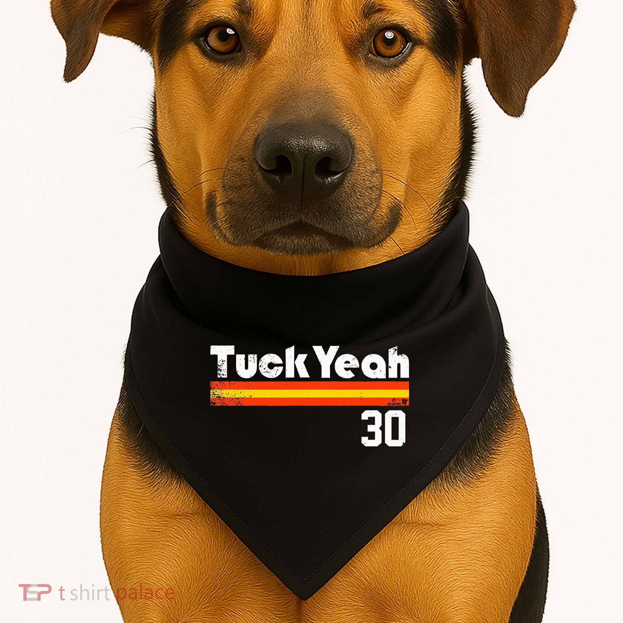 Kyle Tucker Tuck Yeah Houston Baseball USA-Made Doggie Bandana
