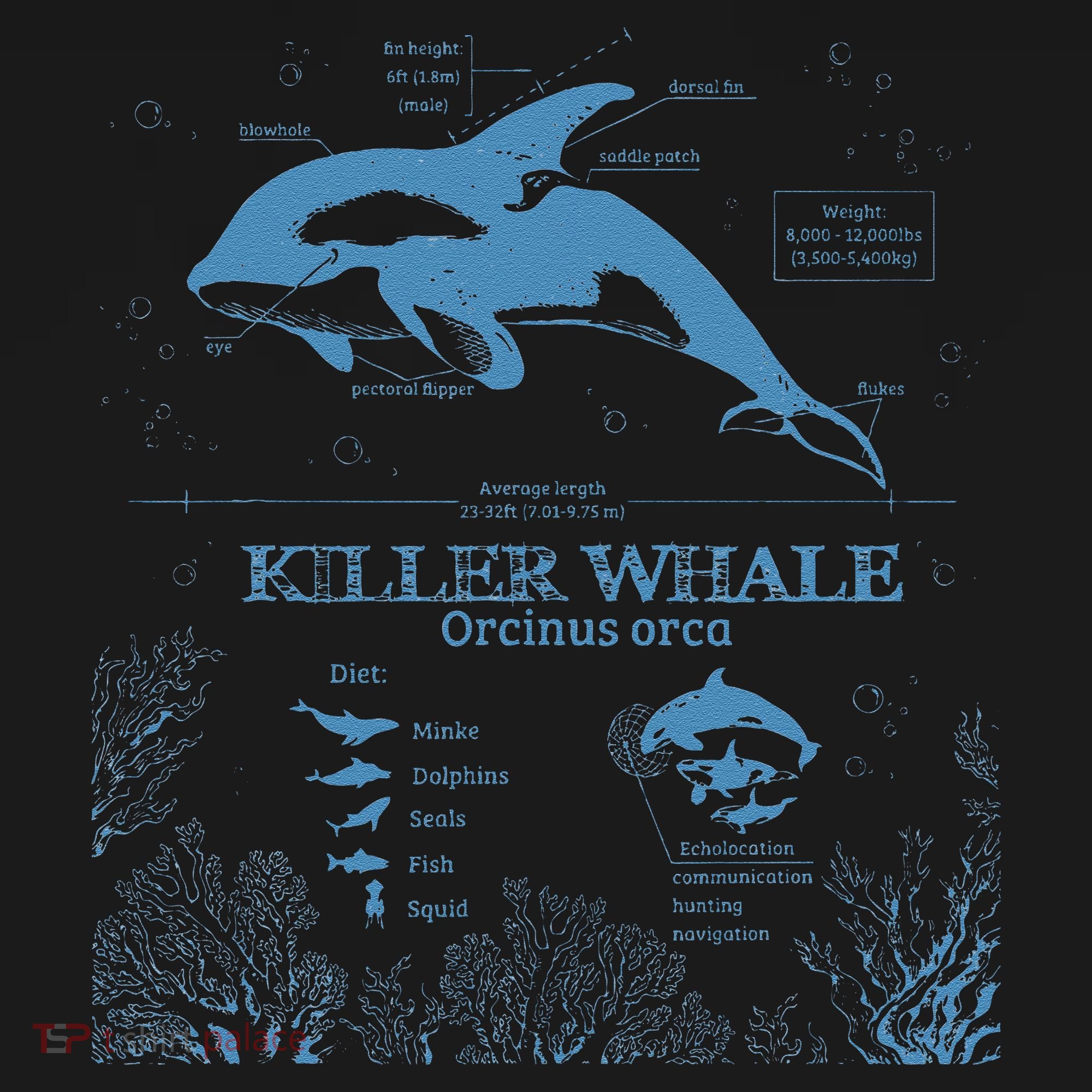 Killer Whale Anatomy Marine Biologist Animal Knowledge Fish Pajama Set