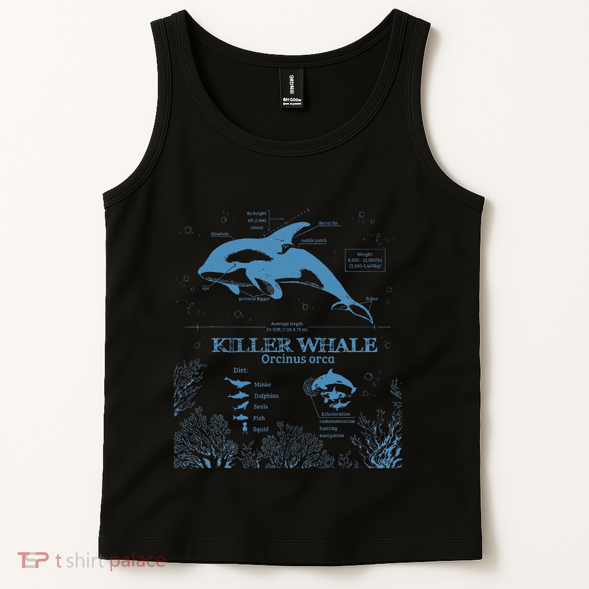 Killer Whale Anatomy Marine Biologist Animal Knowledge Fish Tank Top