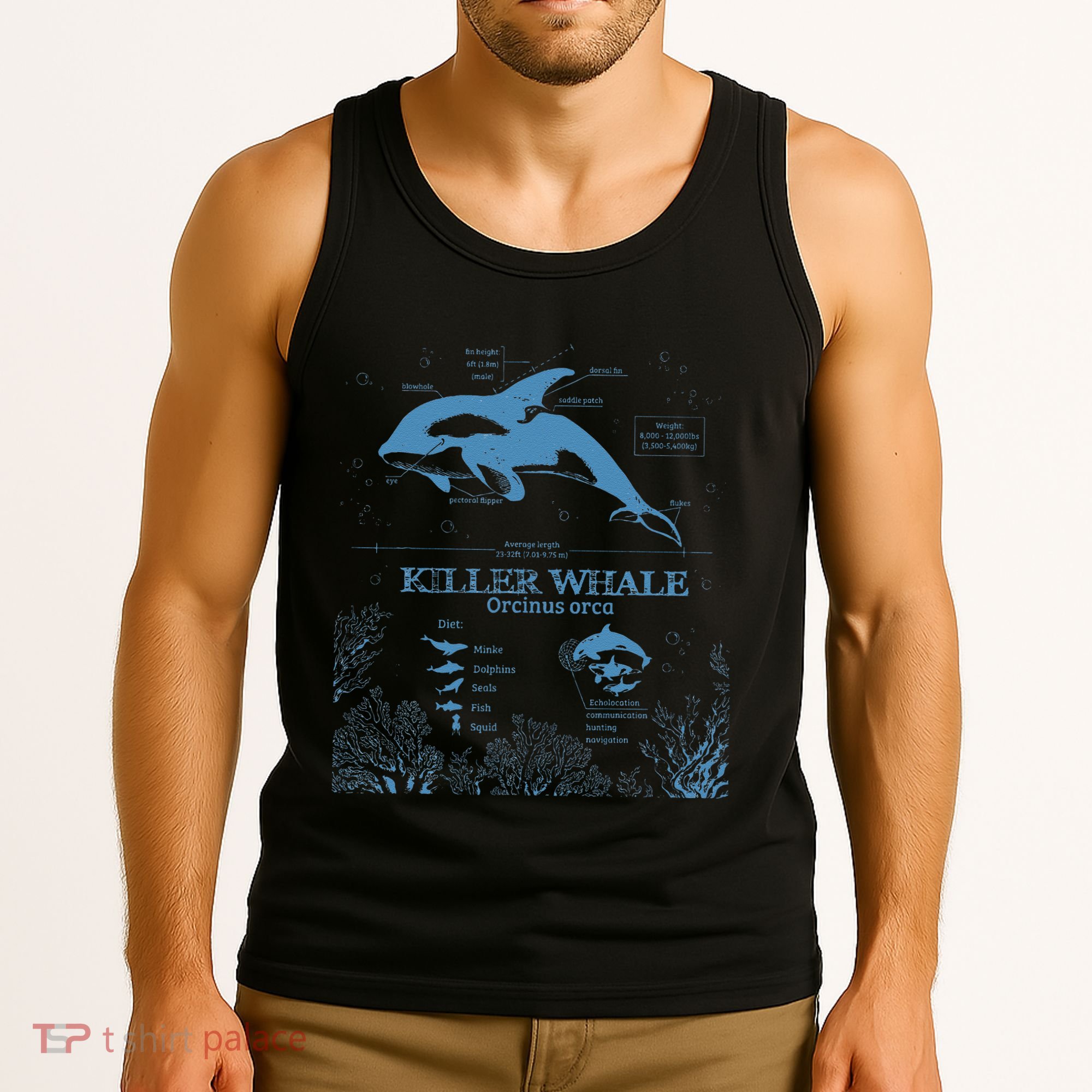 Killer Whale Anatomy Marine Biologist Animal Knowledge Fish Tank Top