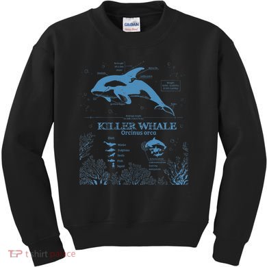Killer Whale Anatomy Marine Biologist Animal Knowledge Fish Kids Sweatshirt