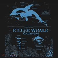 Killer Whale Anatomy Marine Biologist Animal Knowledge Fish Kids Sweatshirt thumb 2