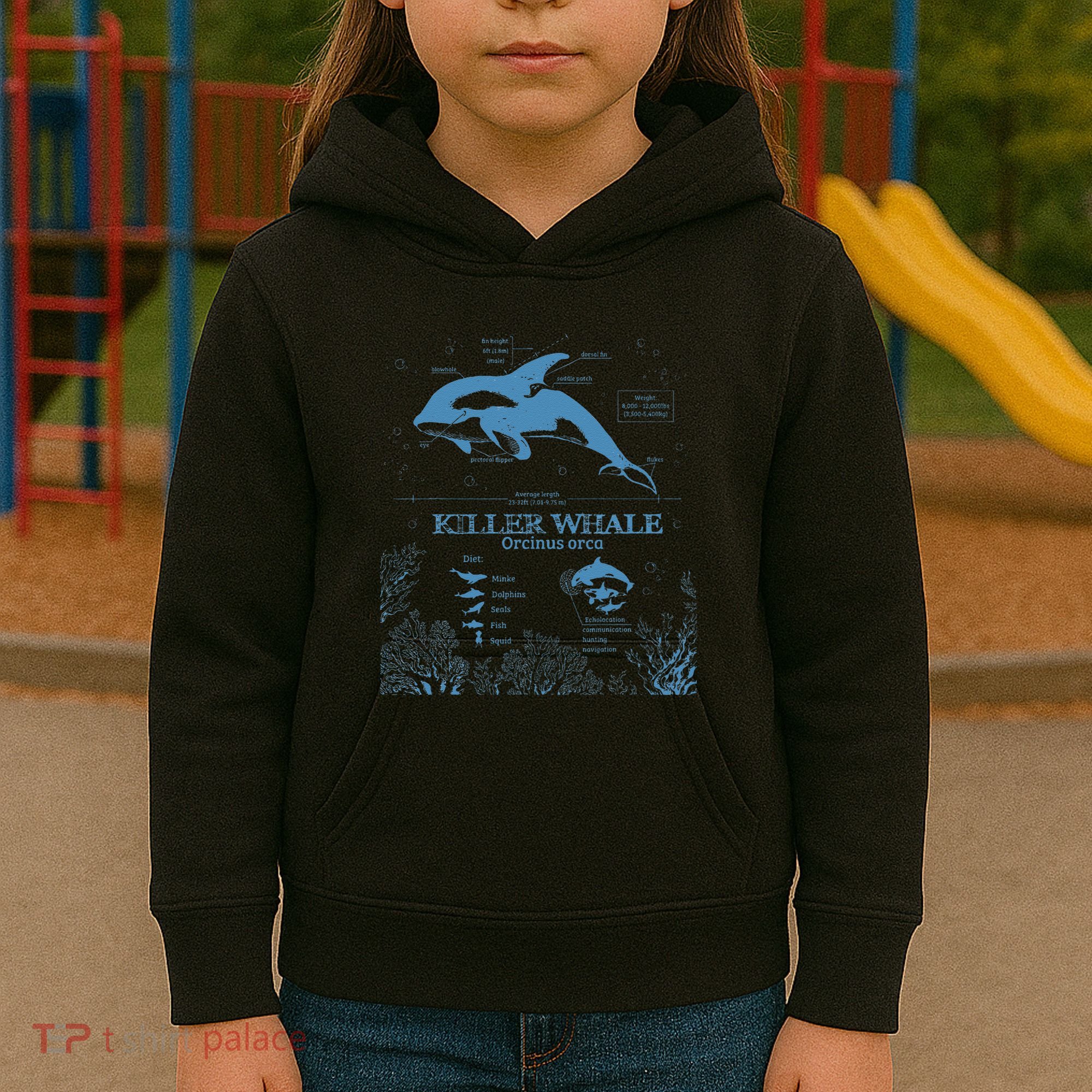 Killer Whale Anatomy Marine Biologist Animal Knowledge Fish Kids Hoodie