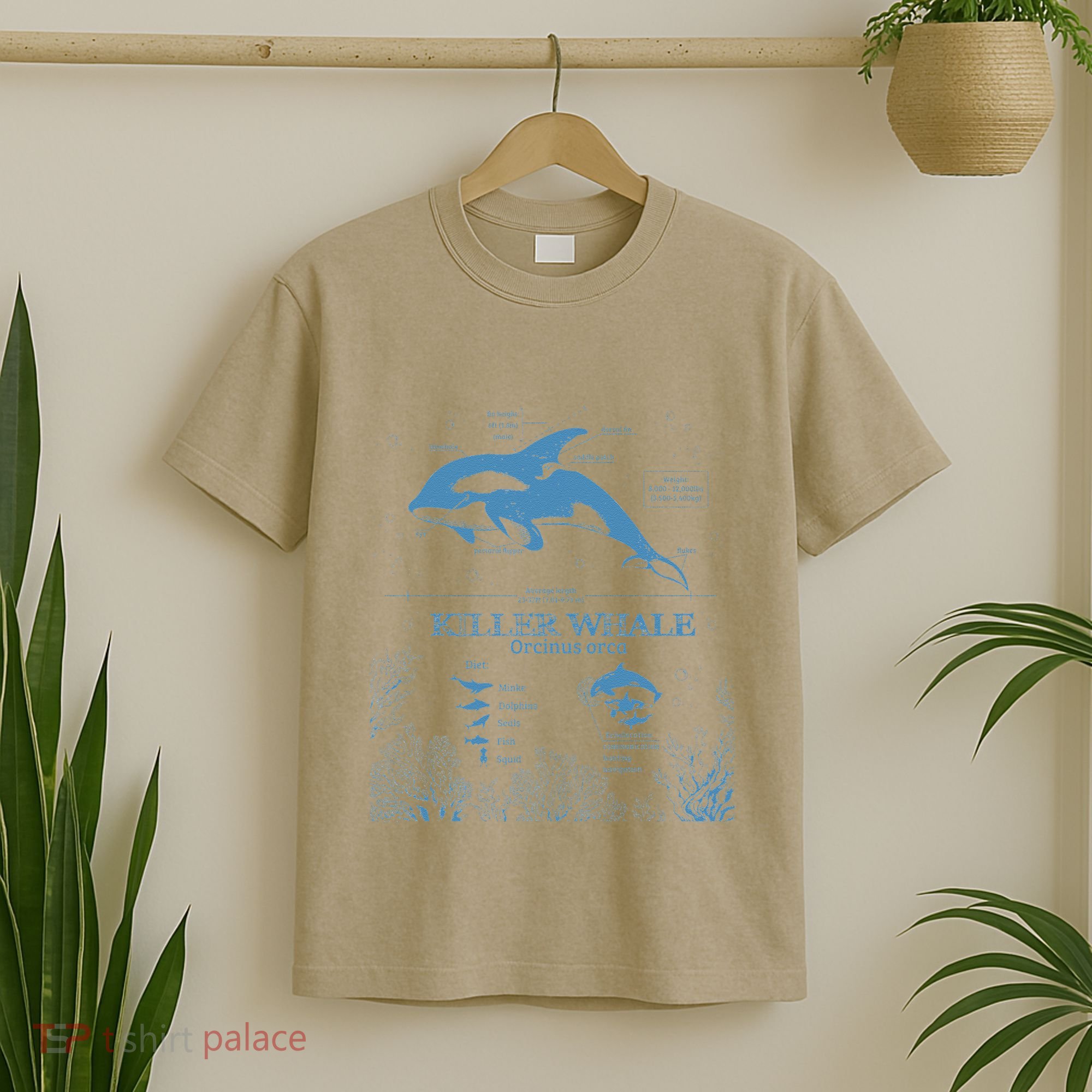 Killer Whale Anatomy Marine Biologist Animal Knowledge Fish T-Shirt