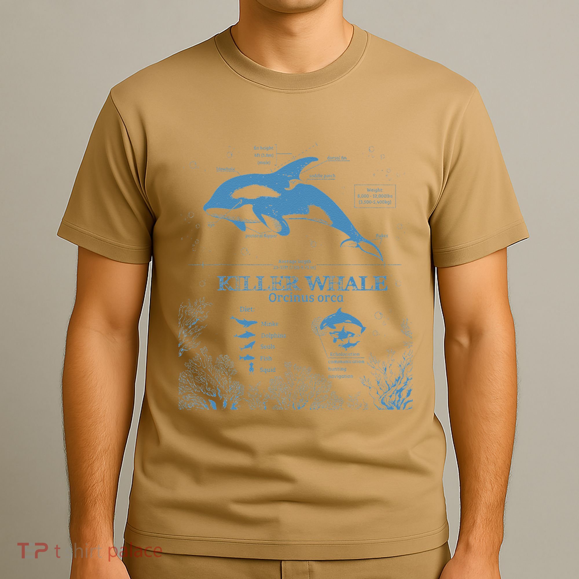 Killer Whale Anatomy Marine Biologist Animal Knowledge Fish T-Shirt