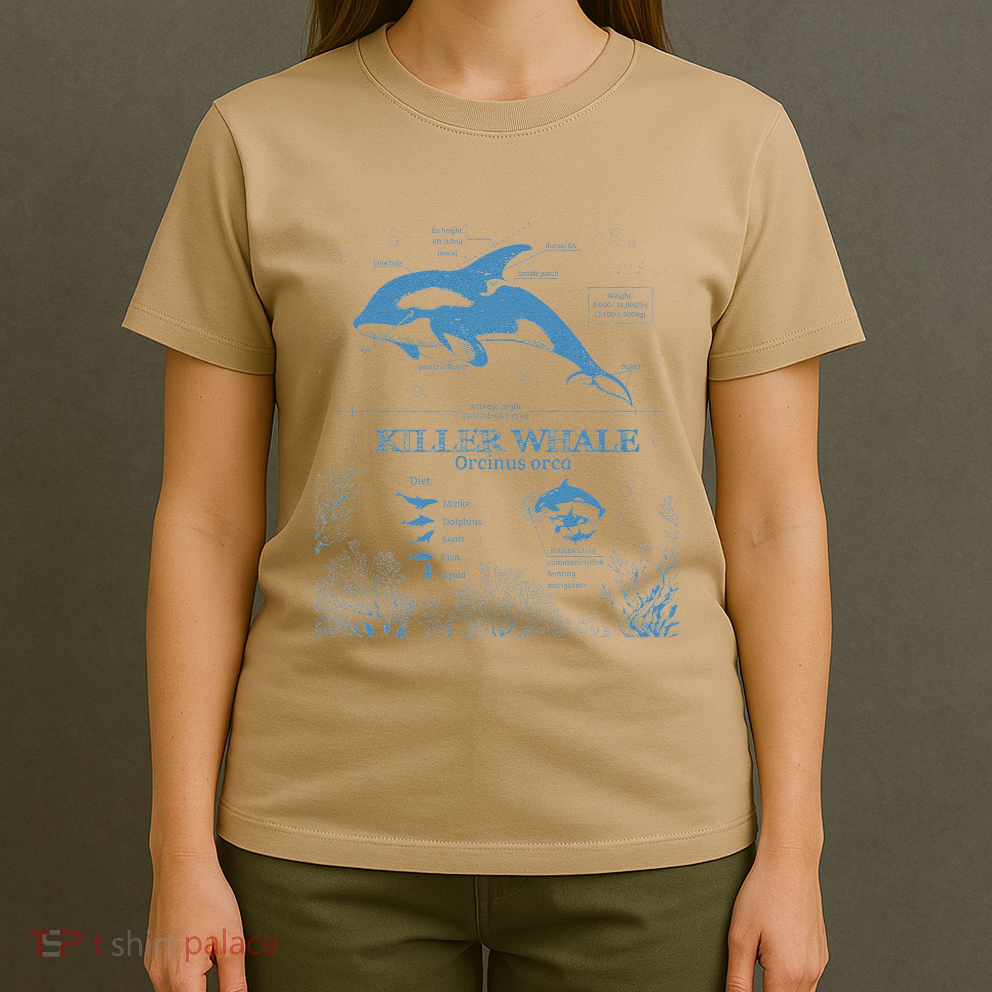 Killer Whale Anatomy Marine Biologist Animal Knowledge Fish T-Shirt