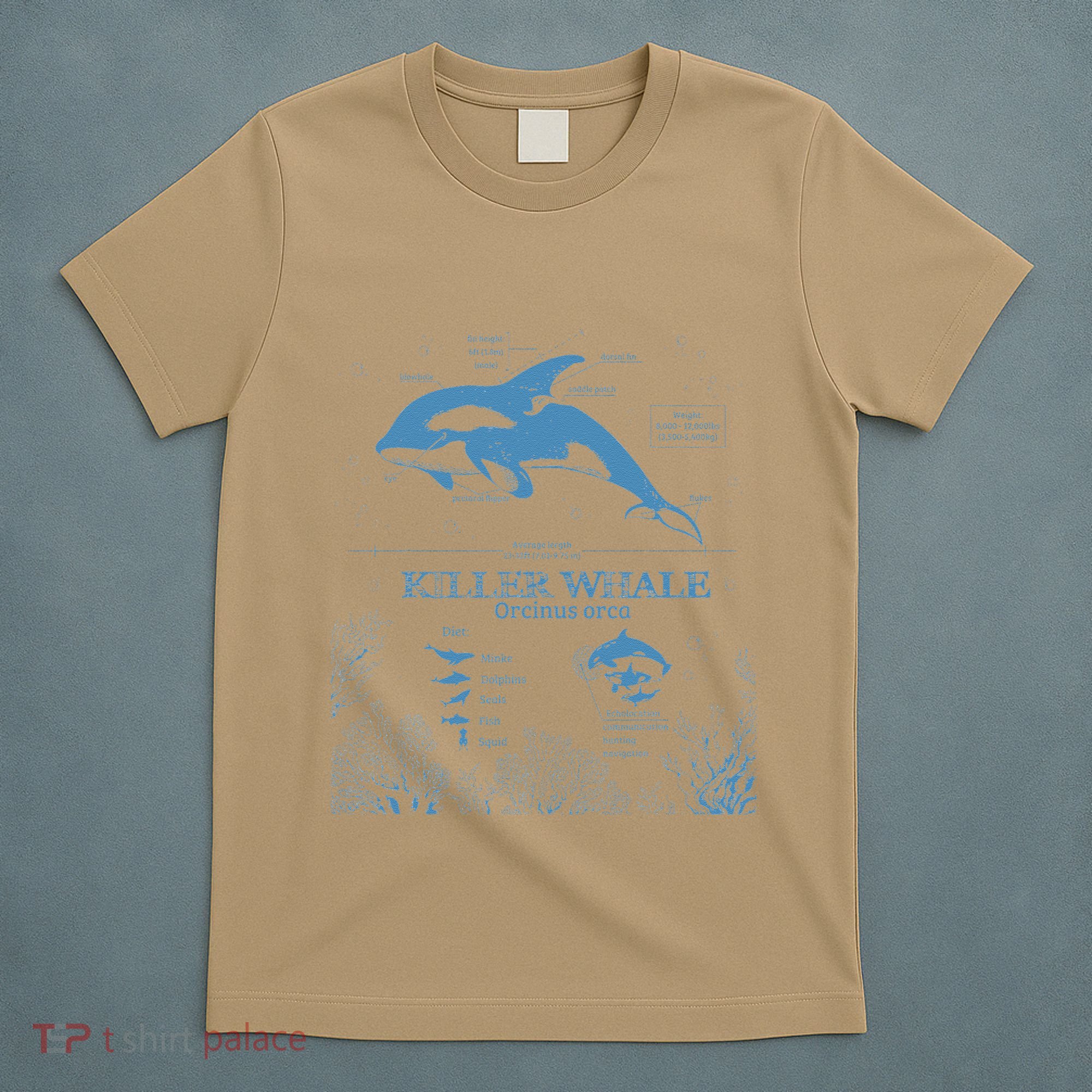 Killer Whale Anatomy Marine Biologist Animal Knowledge Fish T-Shirt