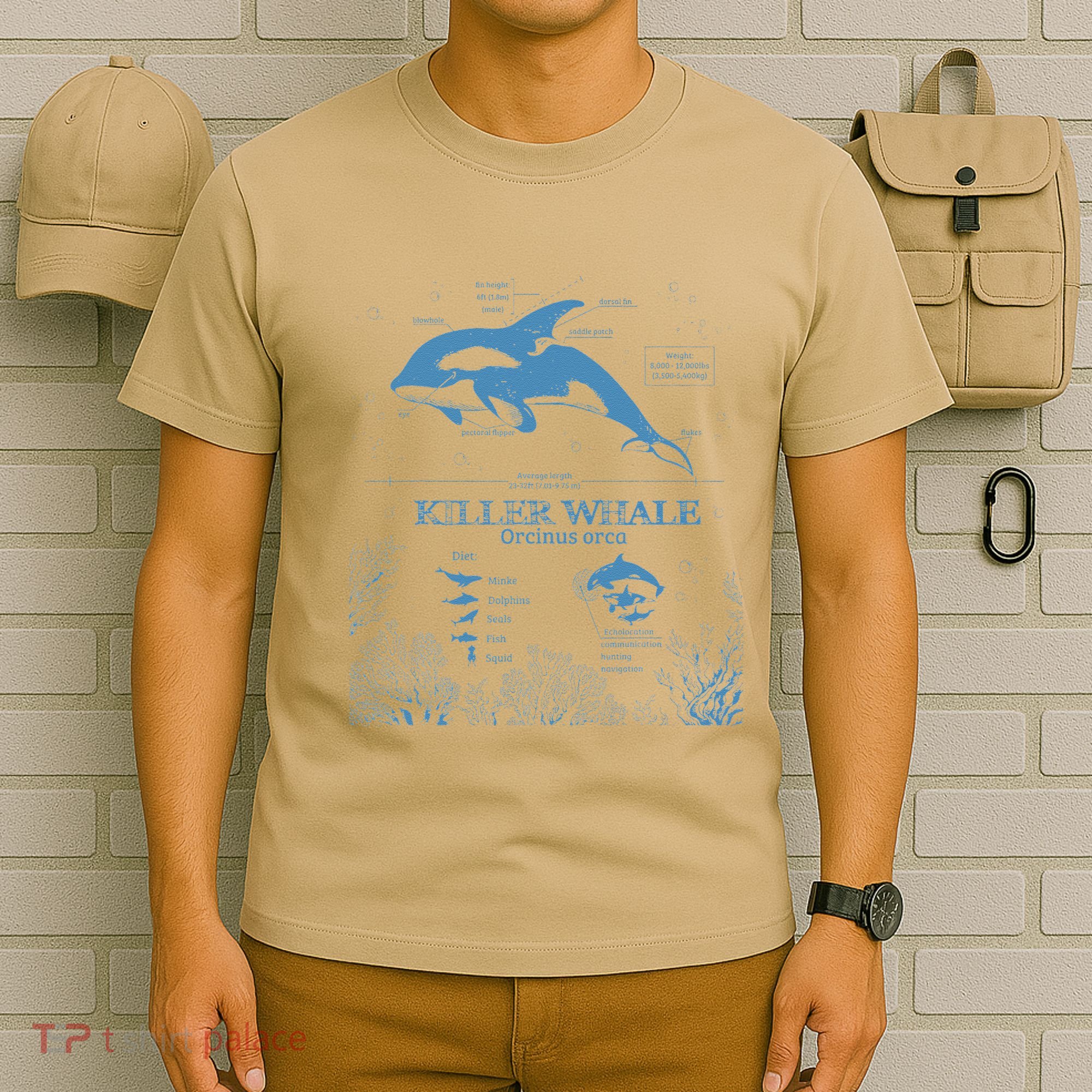 Killer Whale Anatomy Marine Biologist Animal Knowledge Fish T-Shirt