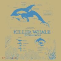 Killer Whale Anatomy Marine Biologist Animal Knowledge Fish T-Shirt thumb 7