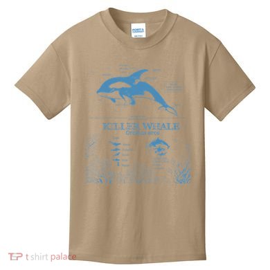 Killer Whale Anatomy Marine Biologist Animal Knowledge Fish Kids T-Shirt