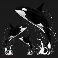 Killer Whale Gifts Shirt. Jumping Orca Killer Whales Killer Polo thumb 3