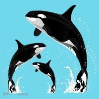 Killer Whale Gifts Shirt. Jumping Orca Killer Whales Killer T-Shirt thumb 6