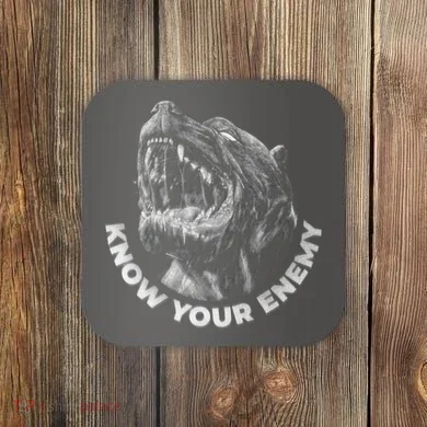 Coaster