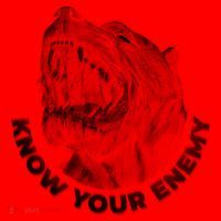 Know Your Enemy Realistic Pitbull Dog Santa Hat thumb 1