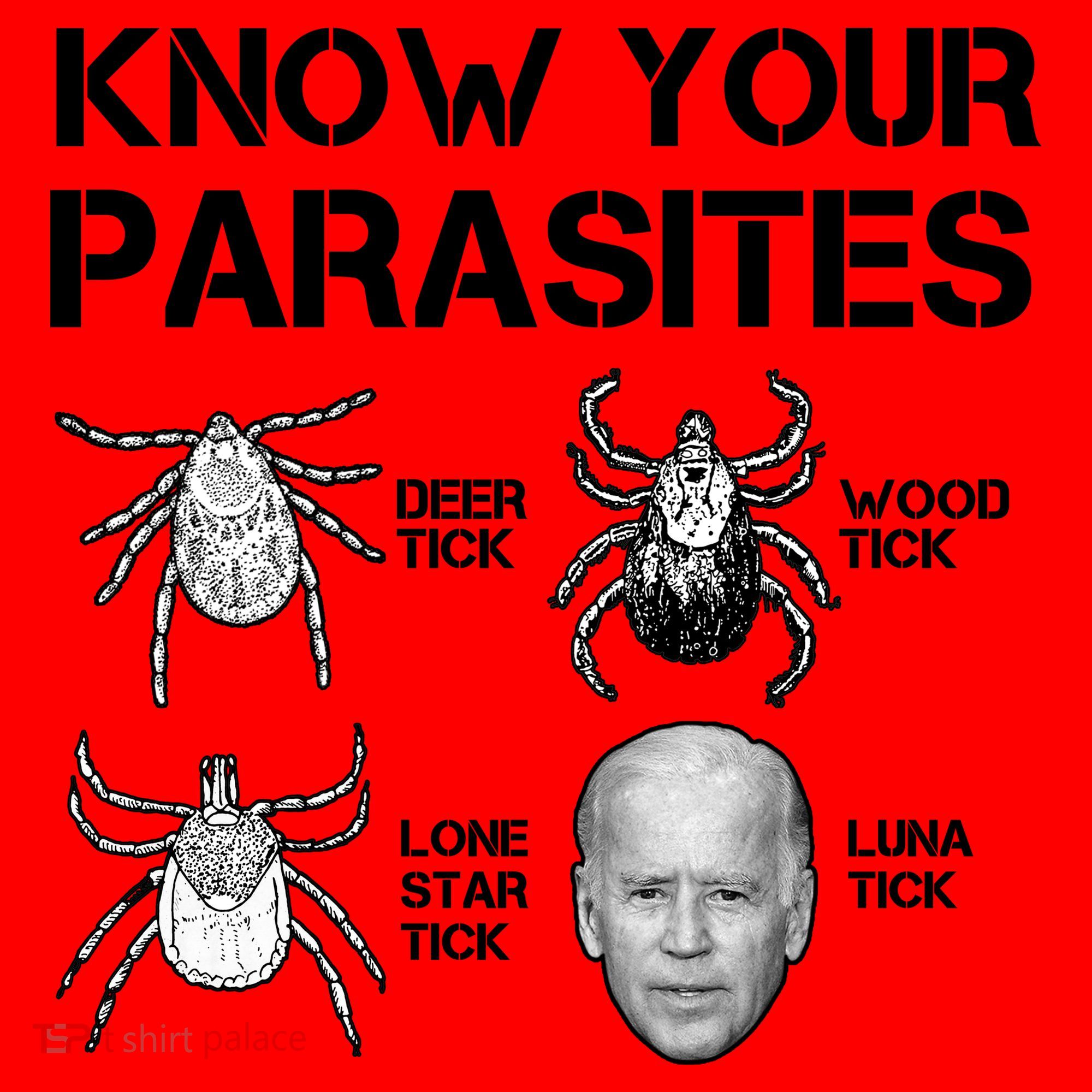 Know Your Parasites Anti Joe Biden Funny Santa Hat