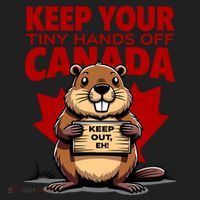 Keep Your Tiny Hands Off Canada Is Not For Sale Funny Beanie thumb 2