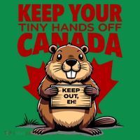 Keep Your Tiny Hands Off Canada Is Not For Sale Funny Kids T-Shirt thumb 4