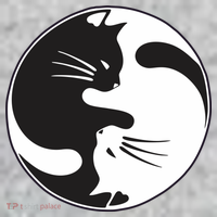 Kawaki Ying Yang Cat The Baniff Cuffed Pom Beanie thumb 2