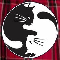 Kawaki Ying Yang Cat Women's Flannel Plaid Pajama Pants thumb 2